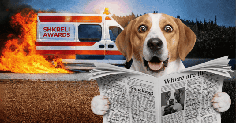 Past Shkreli winners: Where are they now?